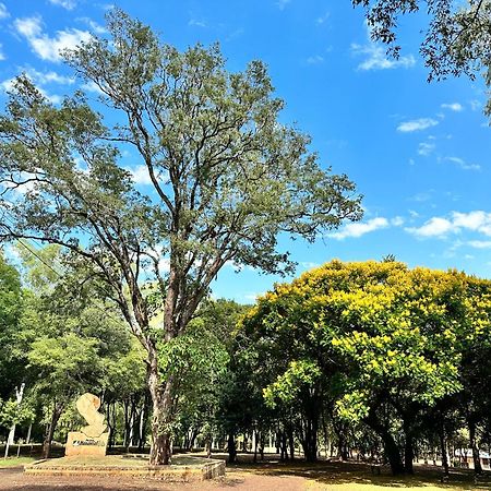 Parque Hotel Manantial Hohenau Екстер'єр фото